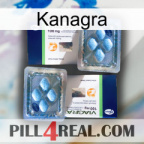 Kanagra viagra5